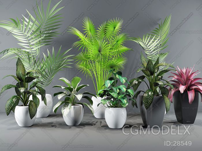 Modern Plants Potted Green Plants 3D model [ID:28549]