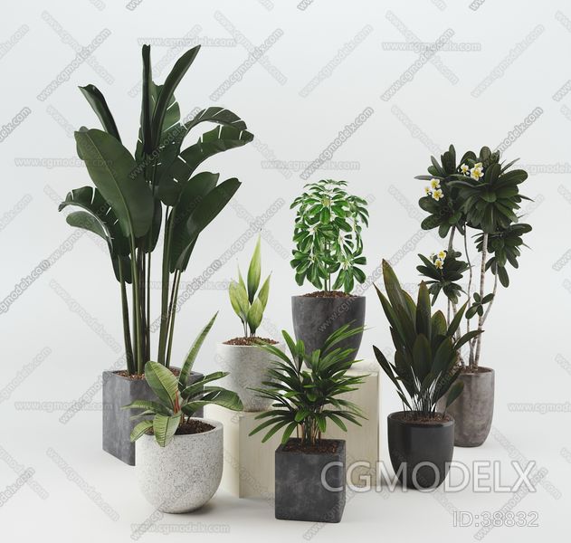 Modern Plant Assemblage 3D model [ID:38832]