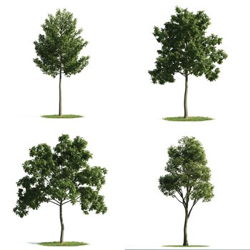 Modern Plants And Trees 3D model [ID:32124]